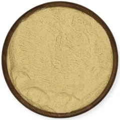 Česnek mletý – intenzivní koření pro každou kuchyni