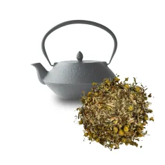 Bylinný čaj Žaludek – na trávení, úlevu a pohodu po jídle