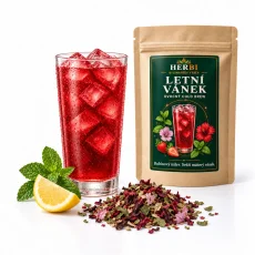 Letný vánok – ovocný cold brew čaj