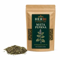 Máta peprná list - chladivá síla máty