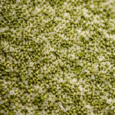 Zelerová soľ, 50 g – aromatická soľ do šalátov a nátierok