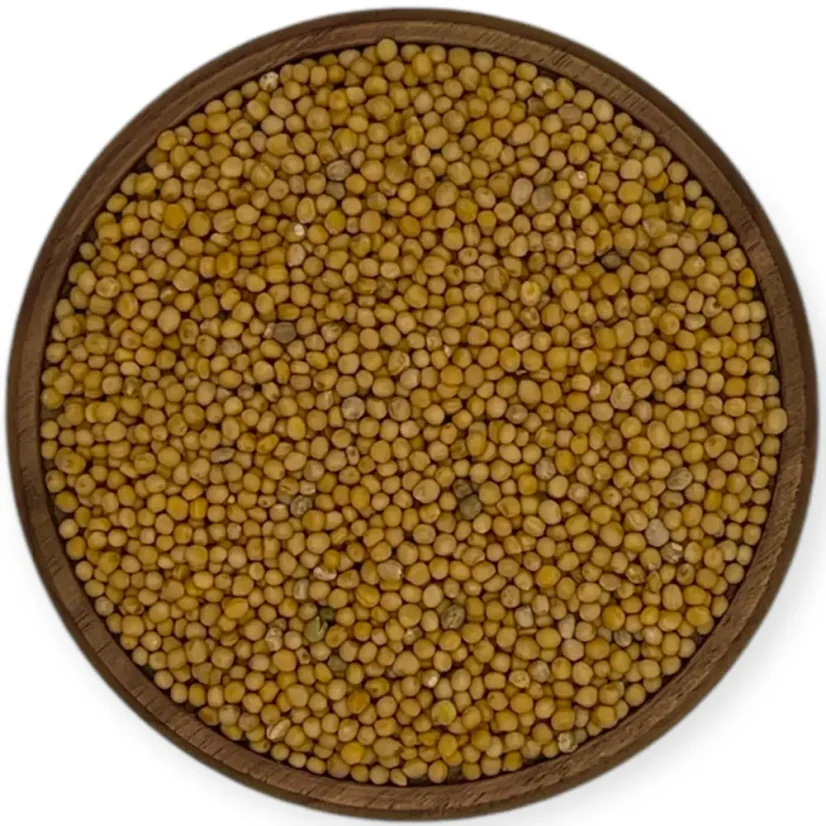 Hořčice žlutá celá