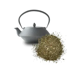 Meduňka nať řezaná – jemná citronová vůně a uklidňující účinky