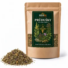 Bylinný čaj Průdušky – přirozená úleva pro dýchací cesty