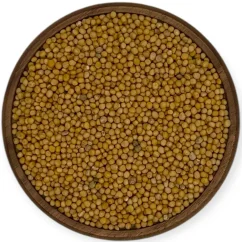 Hořčice žlutá celá Hořčice žlutá celá