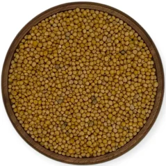 Hořčice žlutá celá Hořčice žlutá celá