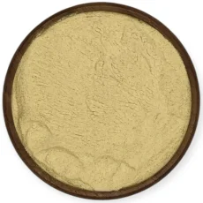 Cesnak mletý – intenzívne korenie pre každú kuchyňu