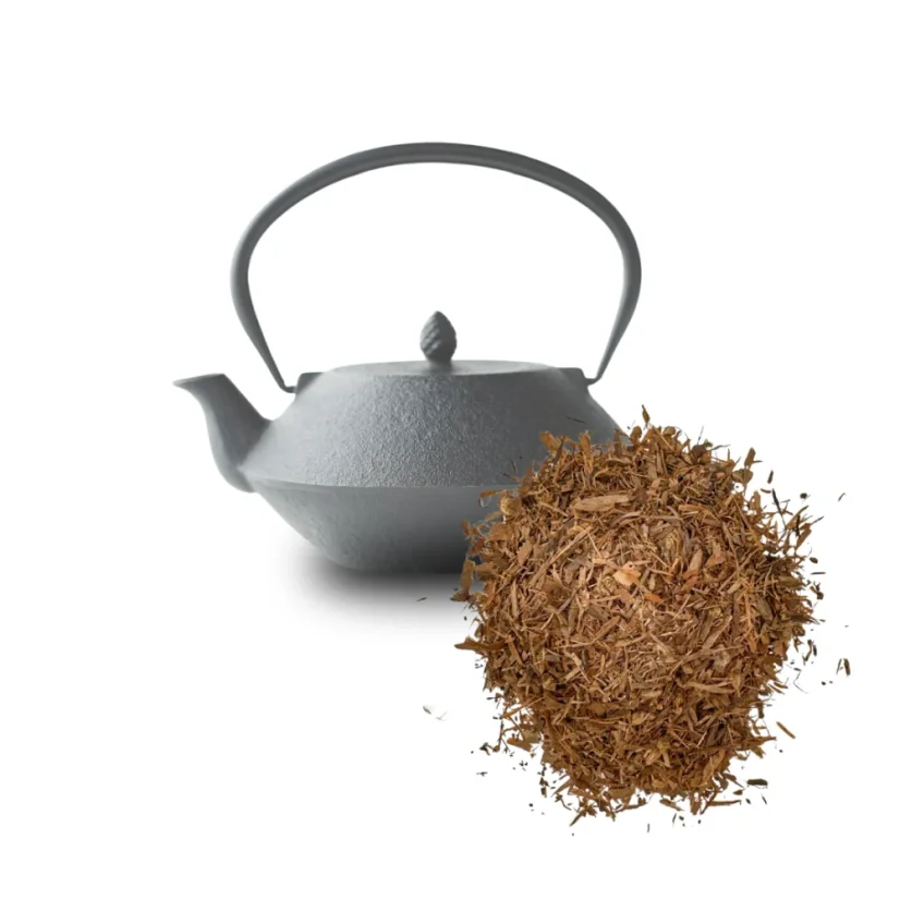 Lapacho kůra – tradiční jihoamerický čaj Inků