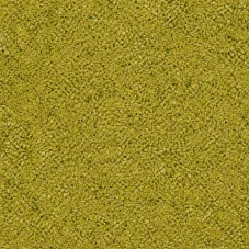 Pátý element – umami 50 g – tajemství páté chuti pro každé jídlo