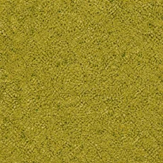 Pátý element – umami 50 g – tajemství páté chuti pro každé jídlo
